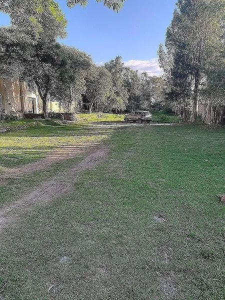 Foto 7
