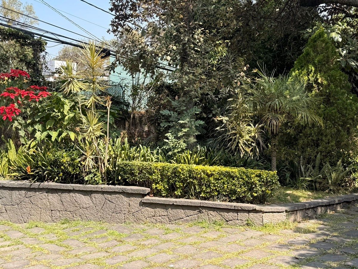 Foto 15