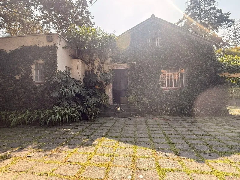 Foto 7