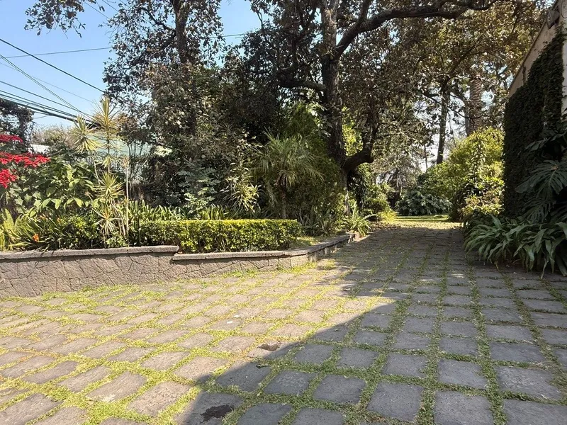 Foto 16