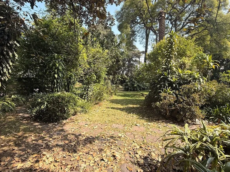 Foto 11