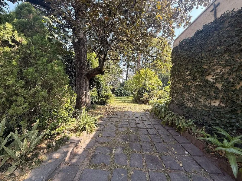 Foto 13
