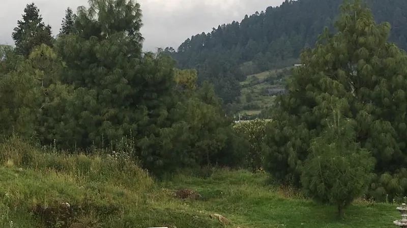 Foto 14