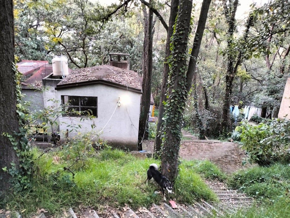 Foto 14