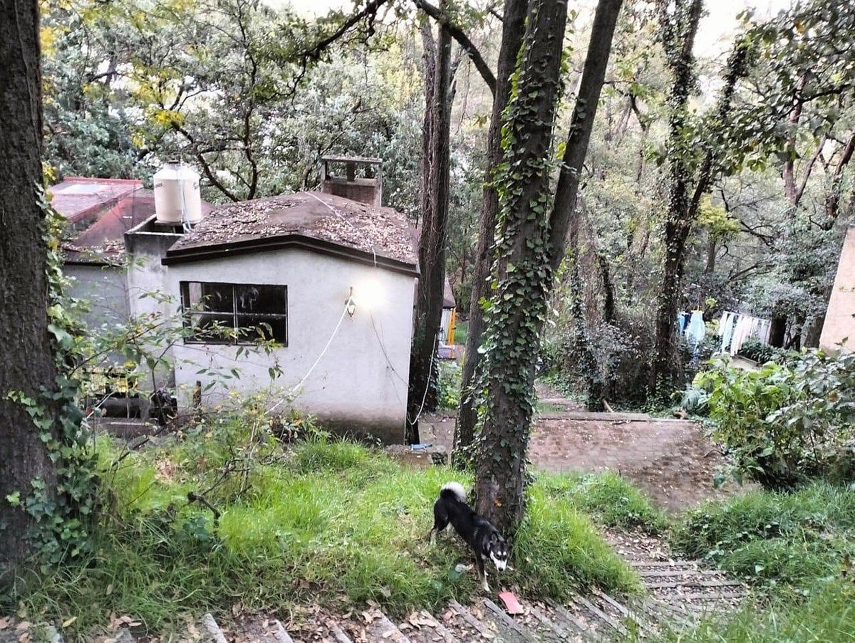 Foto 14