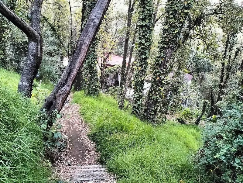 Foto 12