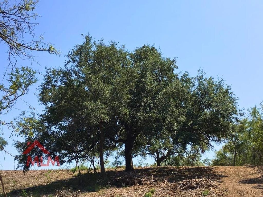 Lote en venta · El Barro, Monterrey, Nuevo León