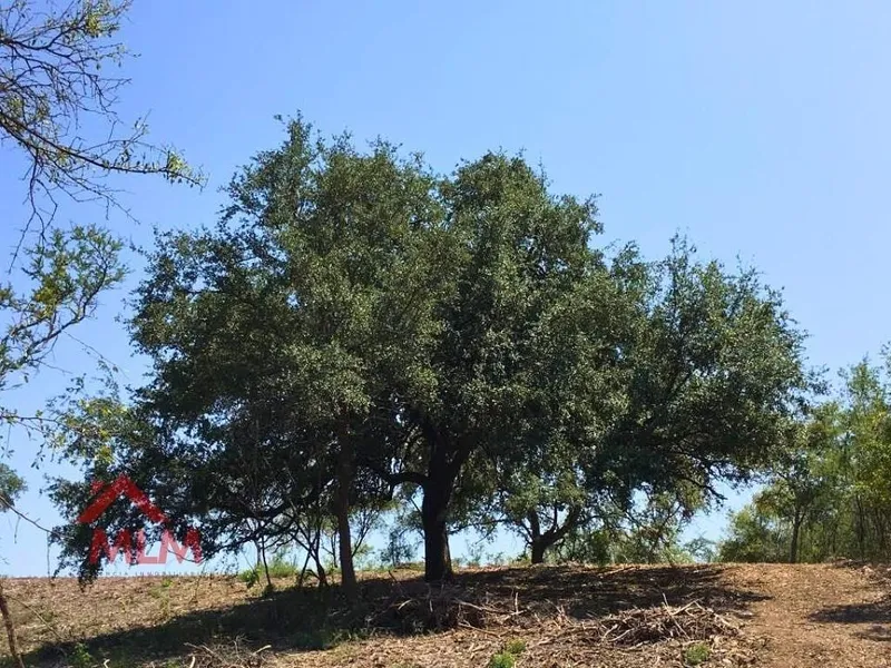 Lote en venta · El Barro, Monterrey, Nuevo León
