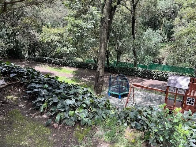 Foto 19