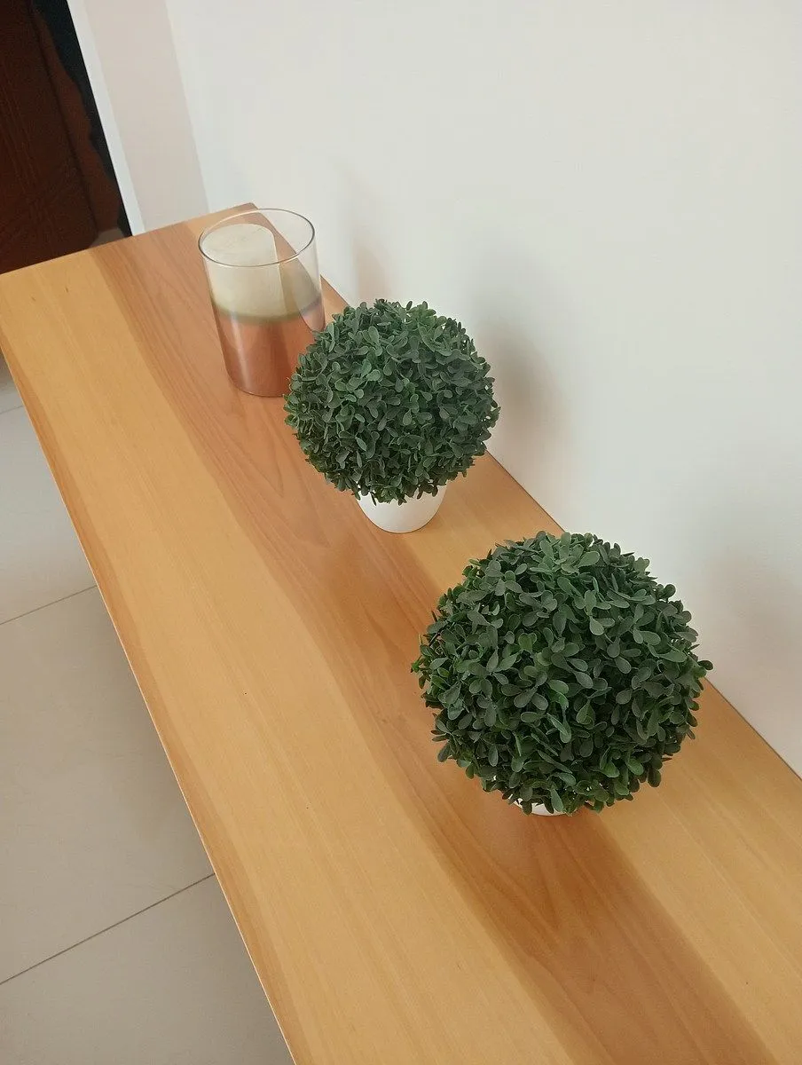 Foto 24