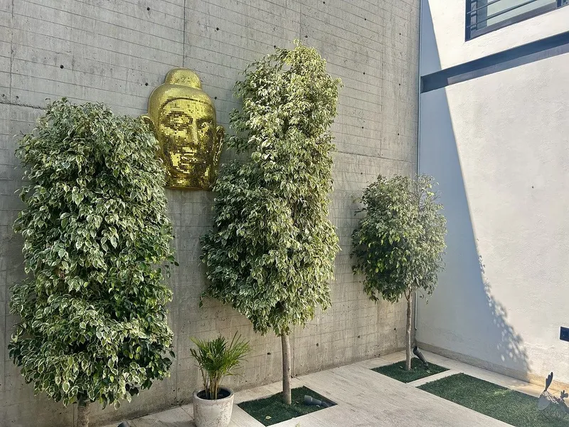 Foto 31