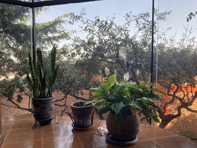Foto 14