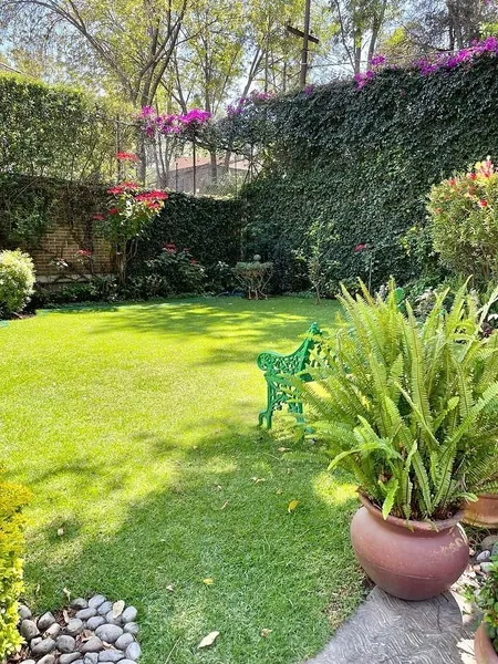 Foto 9
