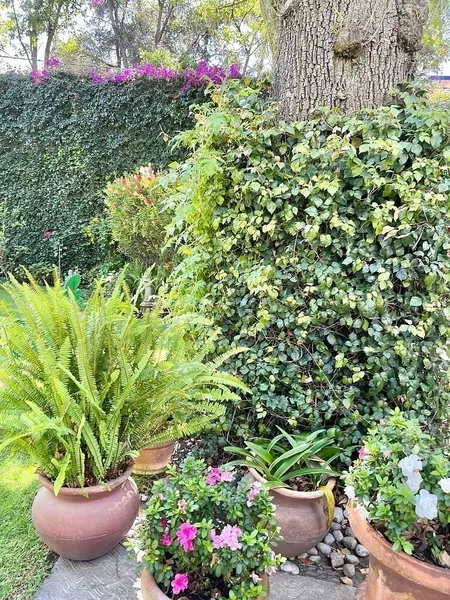 Foto 19