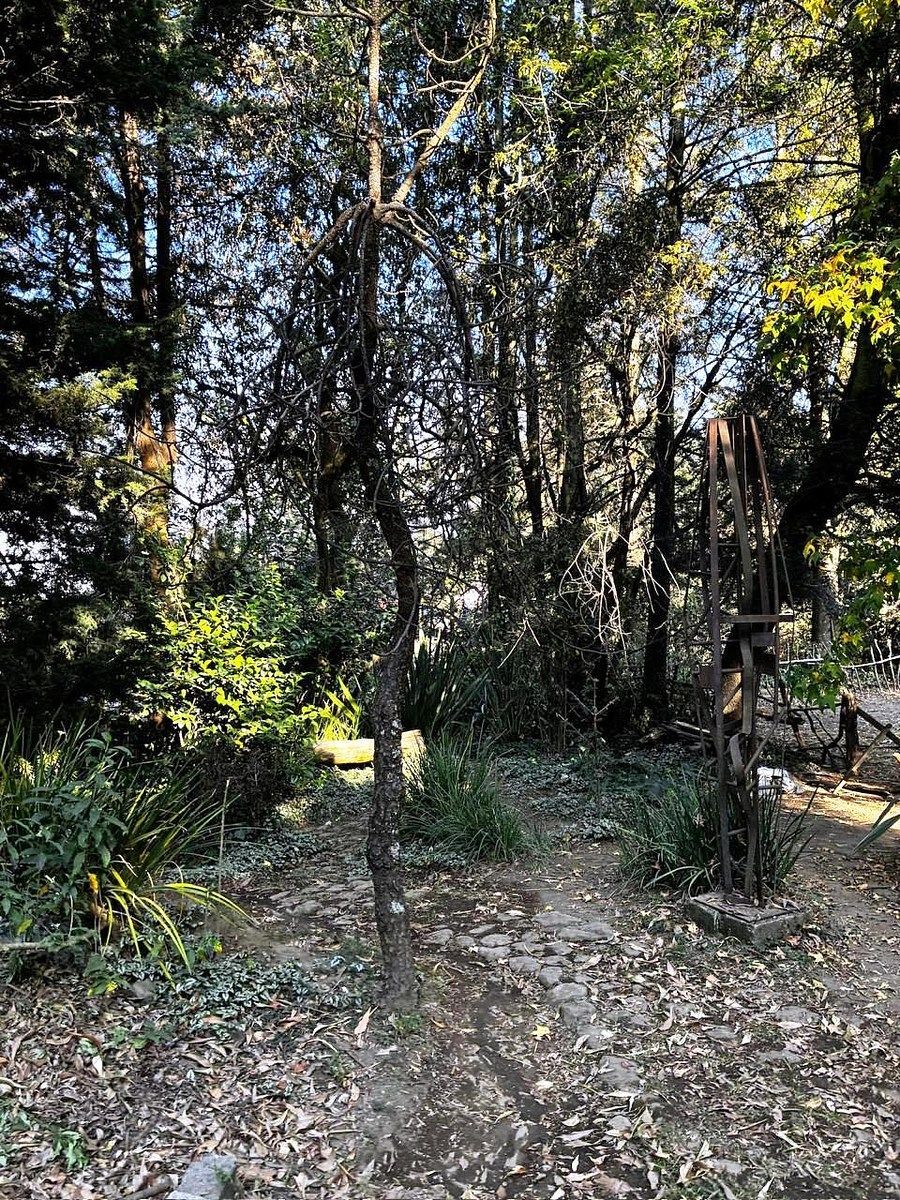 Foto 11