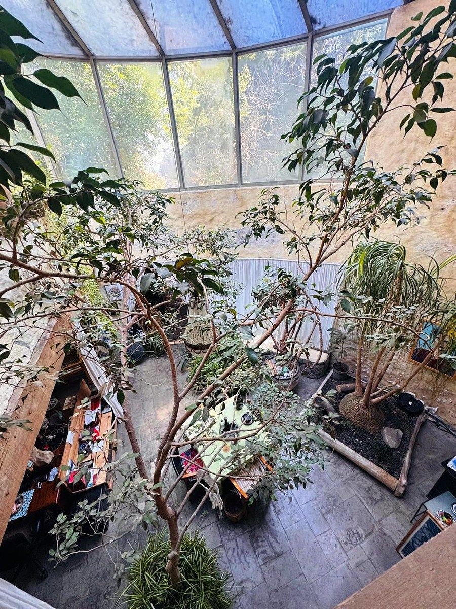 Foto 15