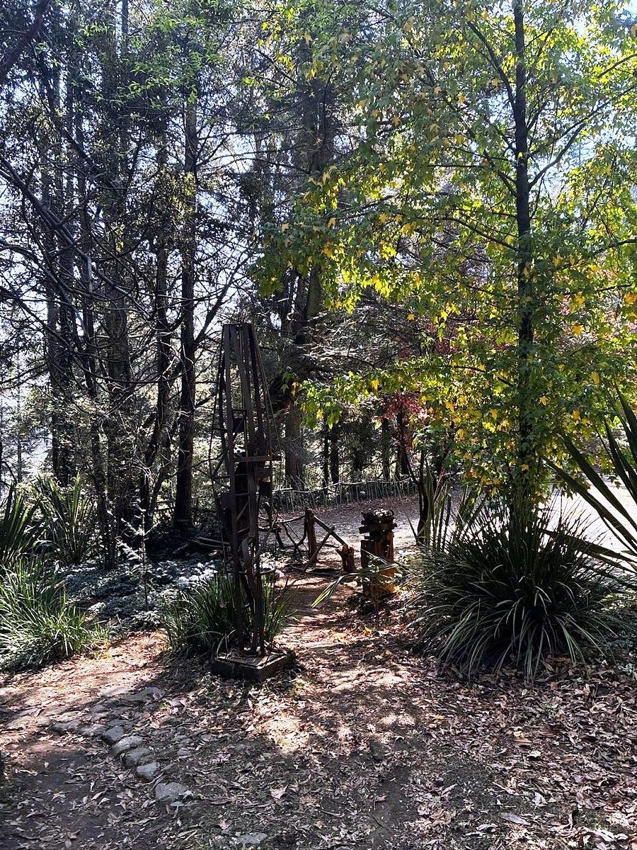Foto 12