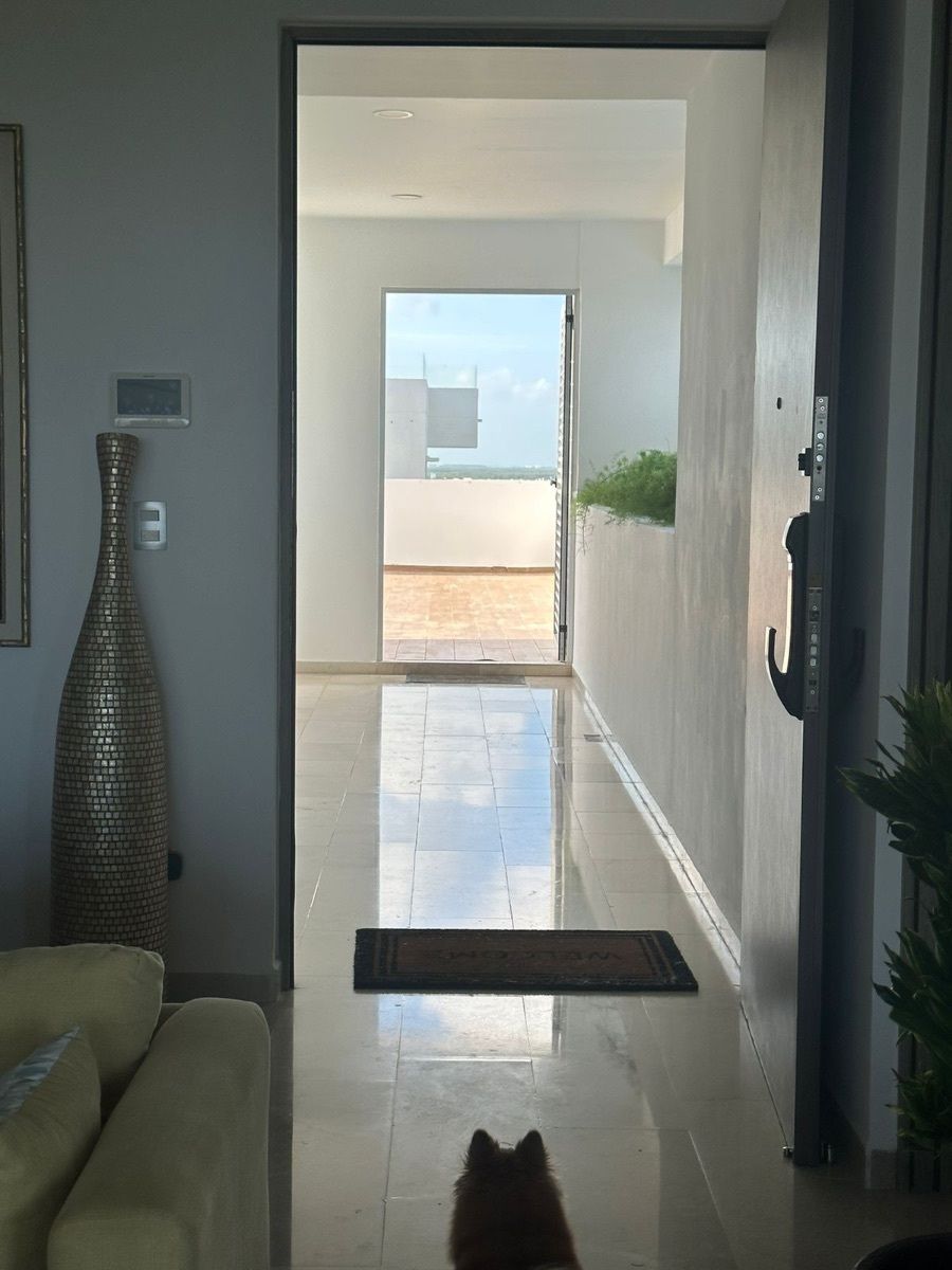 Foto 15