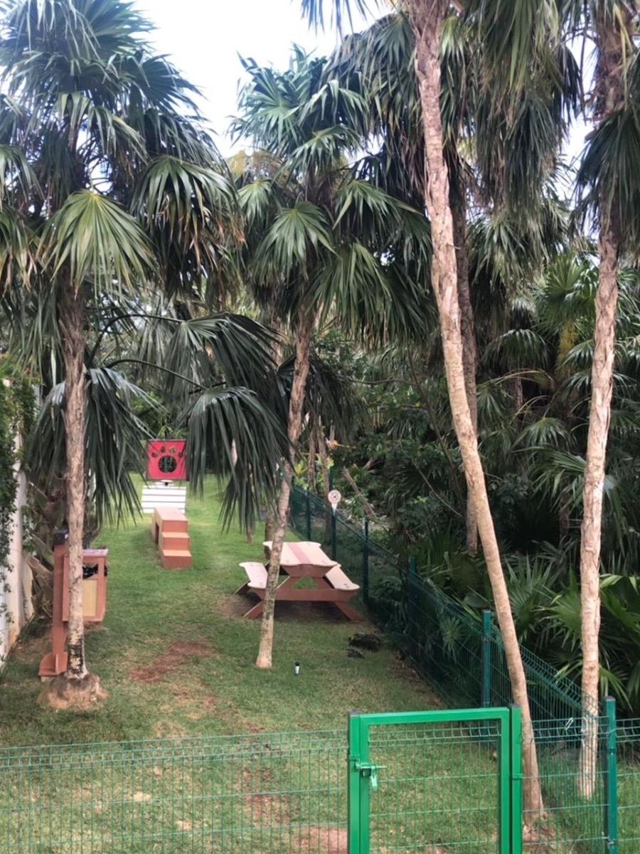 Foto 11