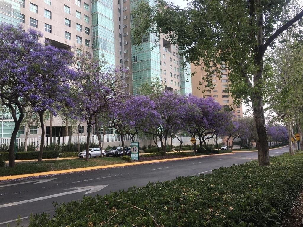 Foto 41