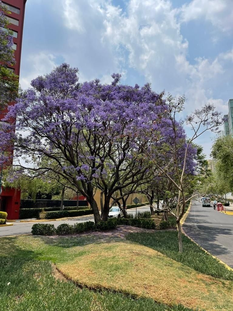Foto 42