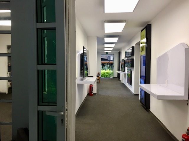 Foto 5