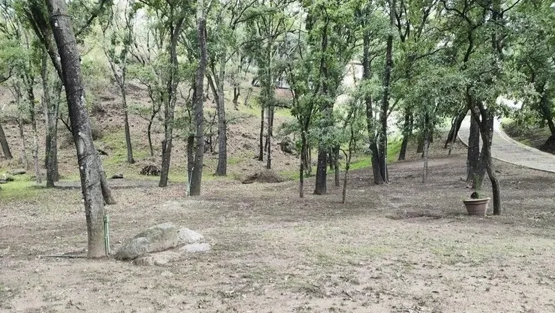 Foto 42