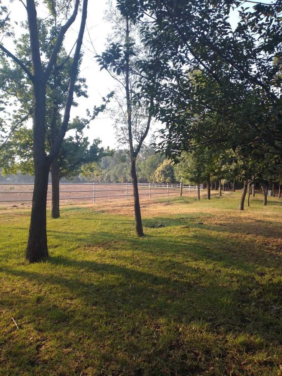Lote en venta · Santiaguito, Texcoco, Estado de México