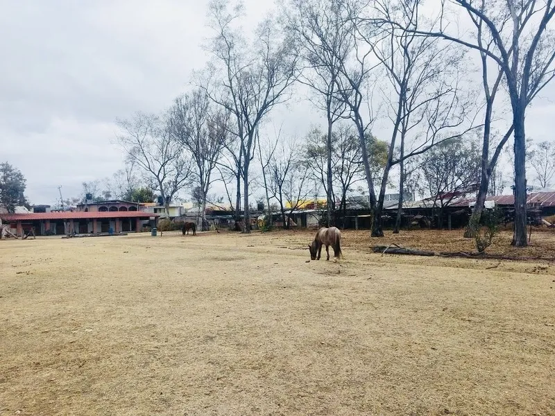 Lote en venta · Granjas Lomas de Guadalupe, Cuautitlán Izcalli, Estado de México