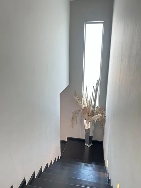 Foto 25