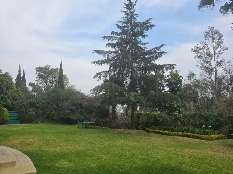 Foto 37