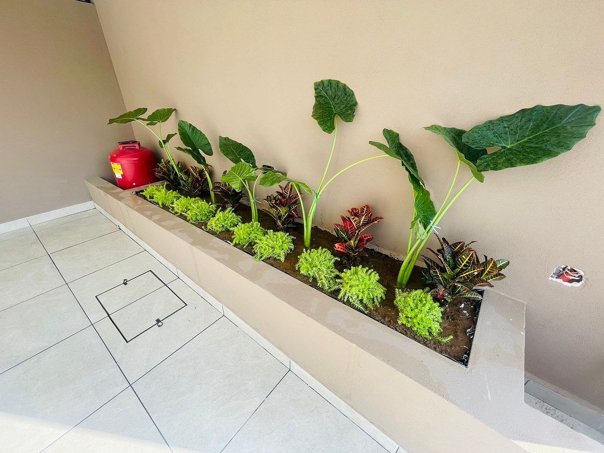 Foto 5