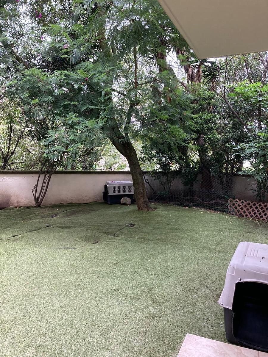 Foto 43