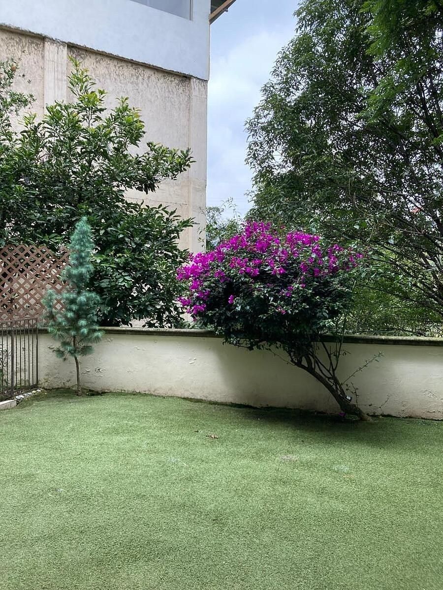 Foto 45