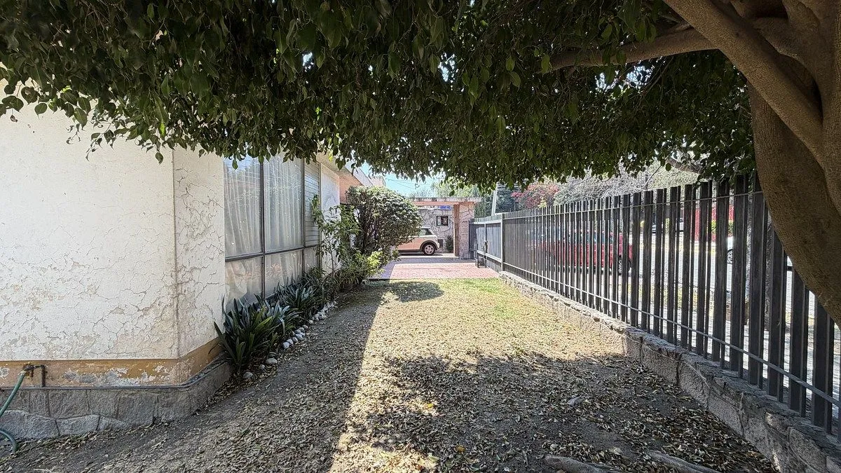 Foto 7
