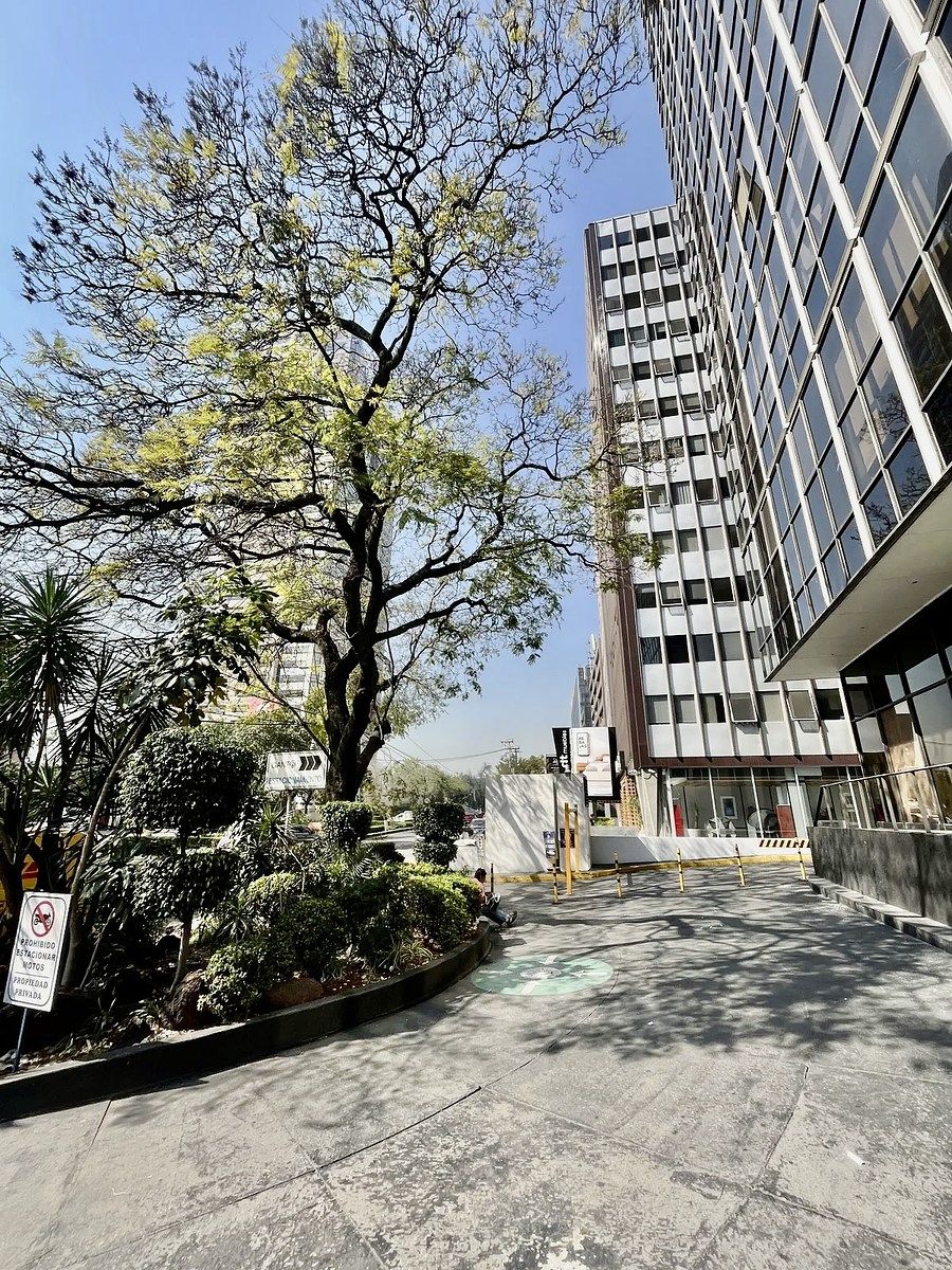 Foto 14
