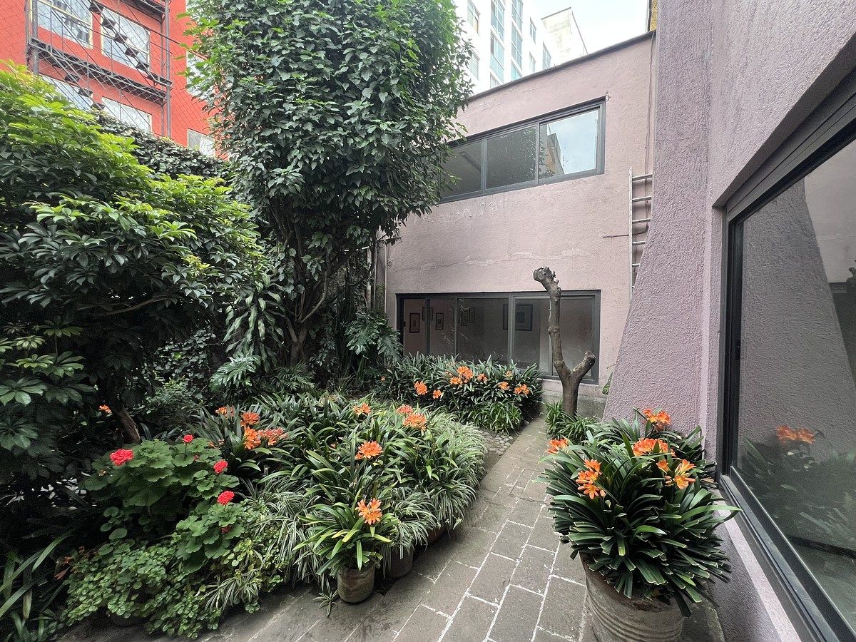 Foto 15