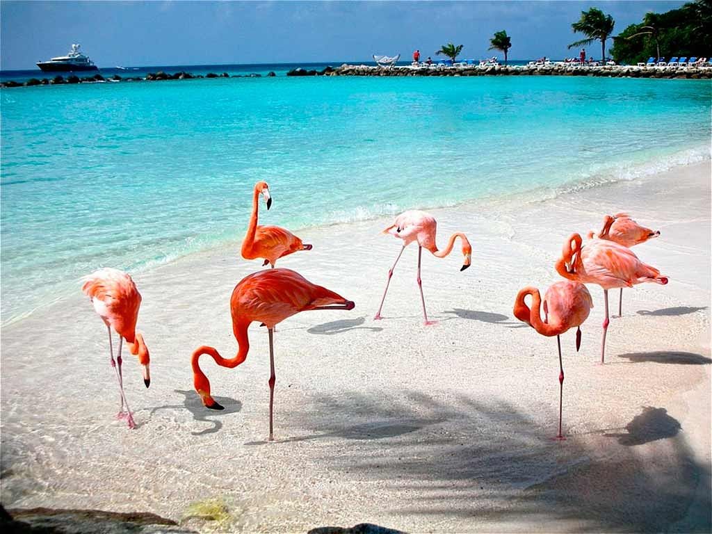 Lote en venta · Santa Clara, Dzidzantún, Yucatán
