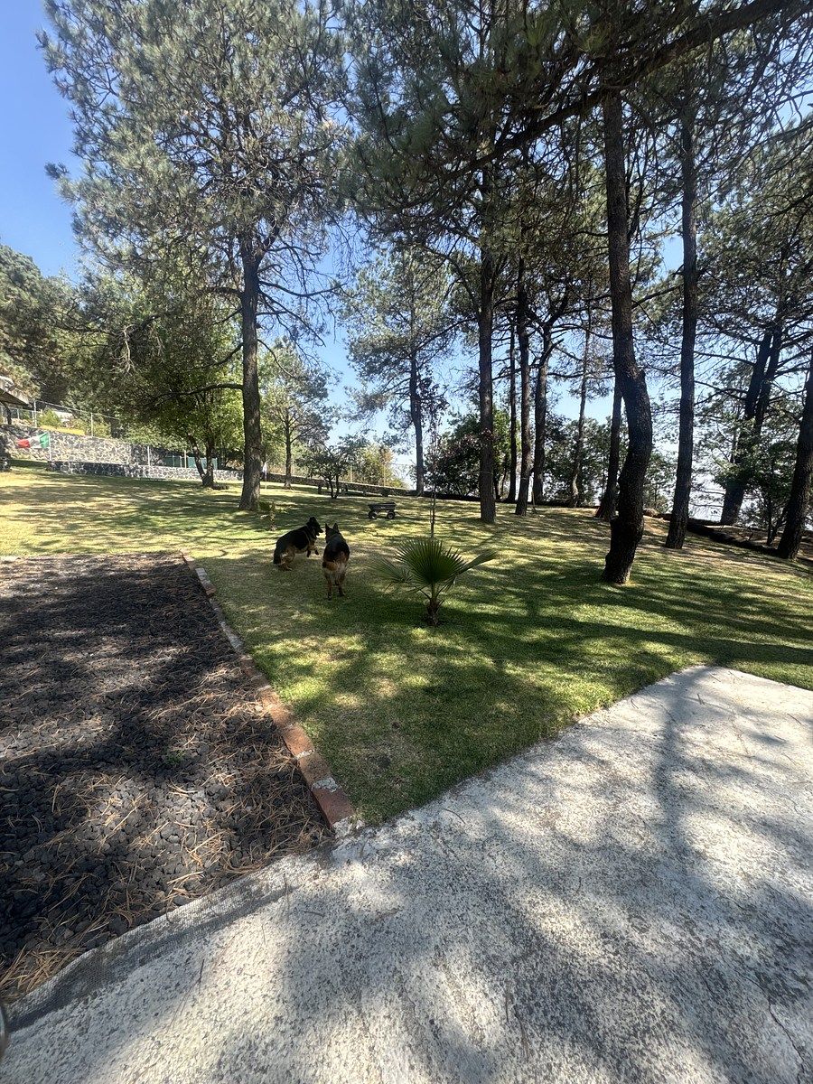 Foto 16
