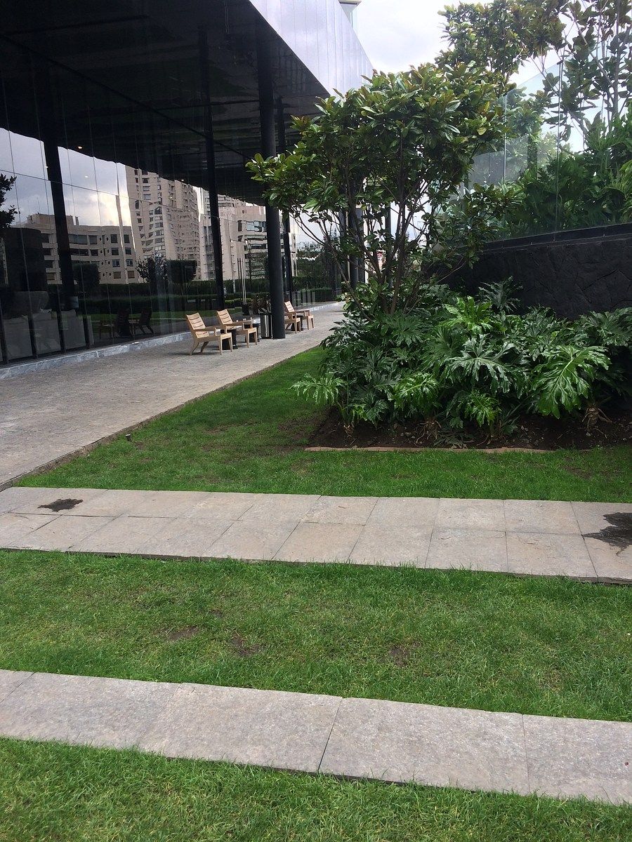 Departamento en venta · Lomas del Chamizal, Cuajimalpa de Morelos, Ciudad de México