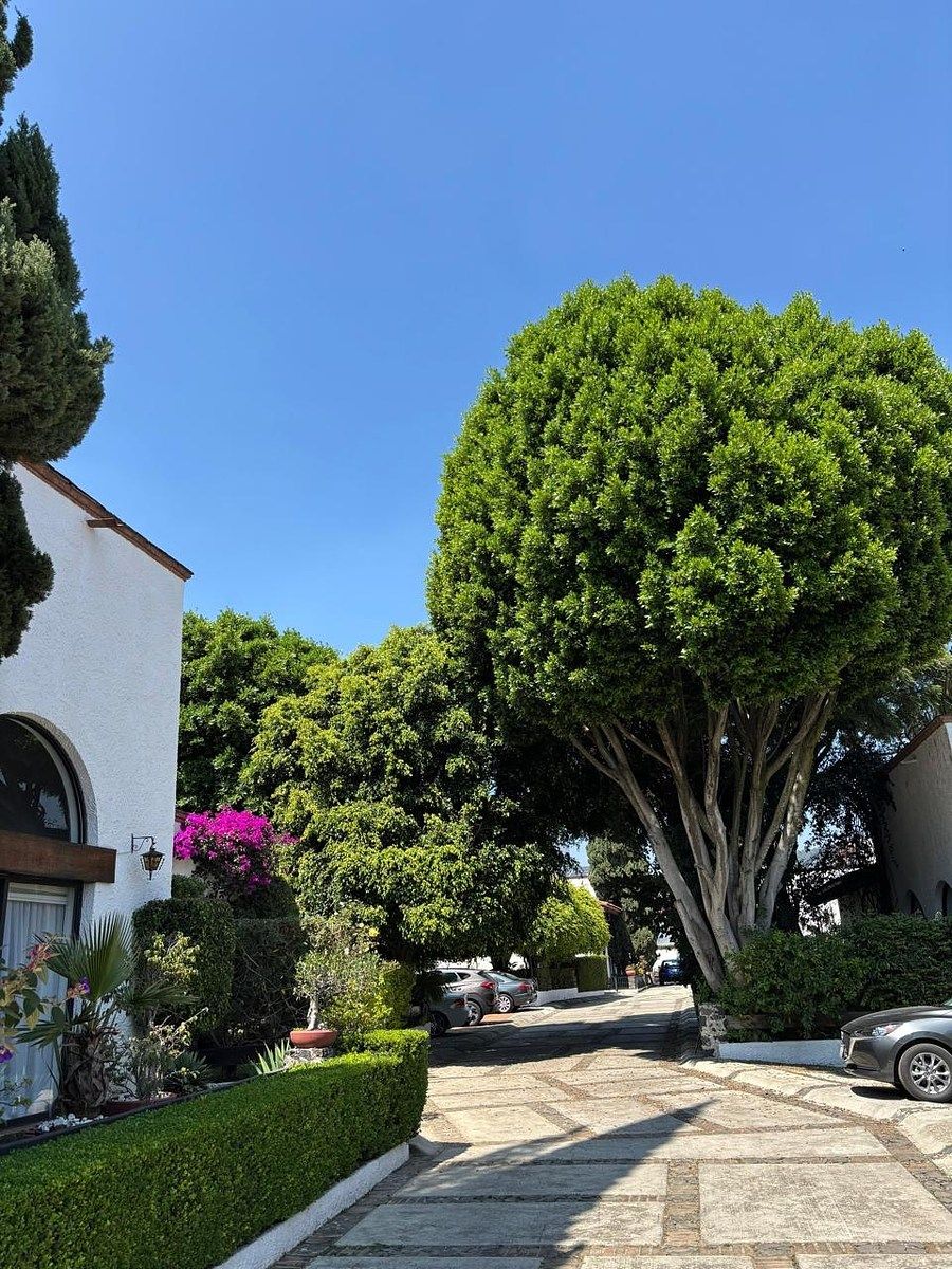 Condominio en venta · San Nicolás Totolapan, La Magdalena Contreras, Ciudad de México Condominio en venta · San Nicolás Totolapan, La Magdalena Contreras, Ciudad de México