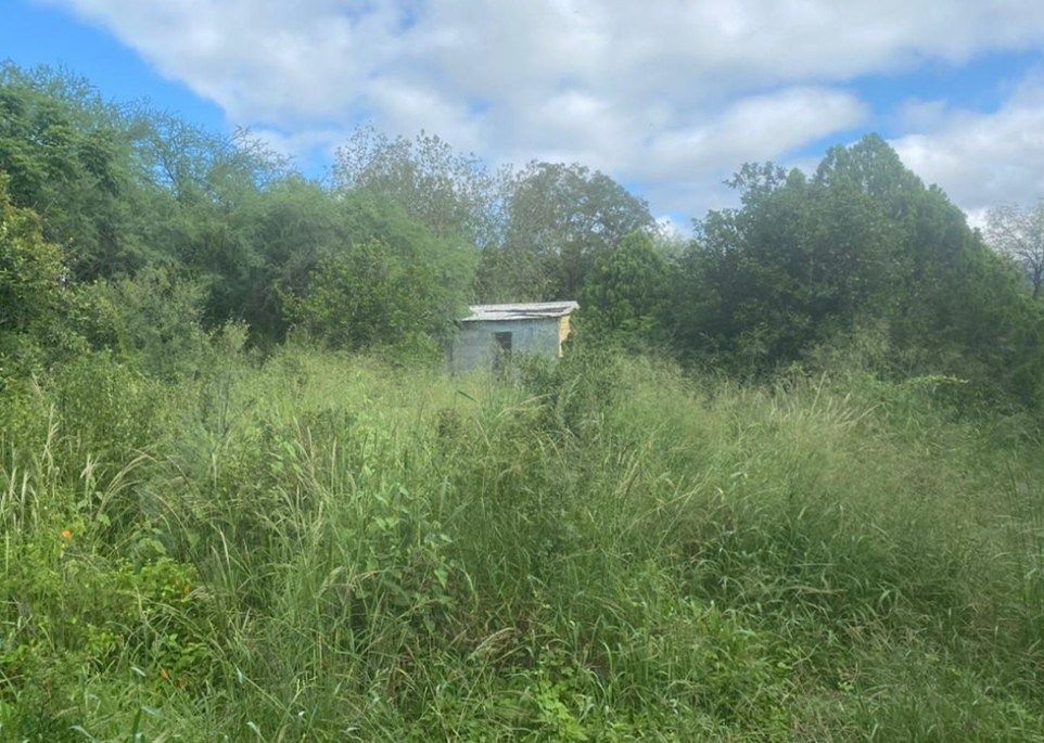 Foto 11