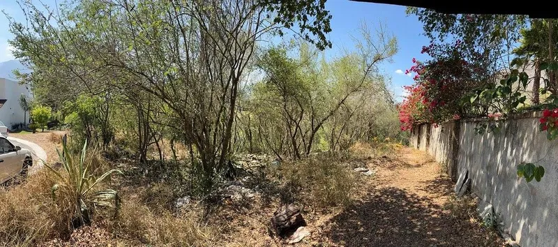 Foto 3