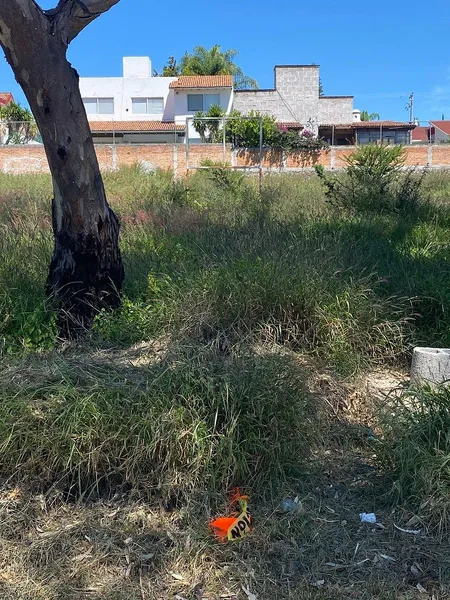 Foto 11