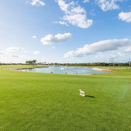 Lote en venta · Tamanché, Mérida, Yucatán
