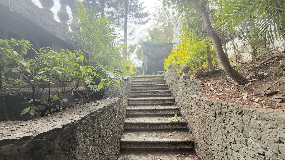 Foto 6