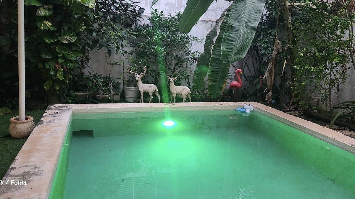 Foto 36