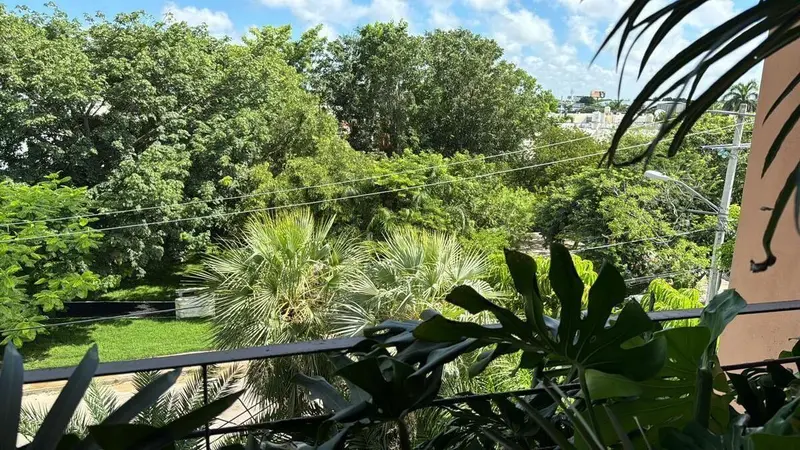 Foto 36