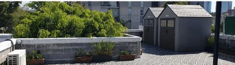 roof general bartolache.JPG