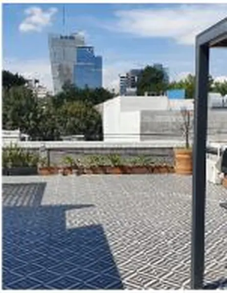 bartolache roof 3.JPG